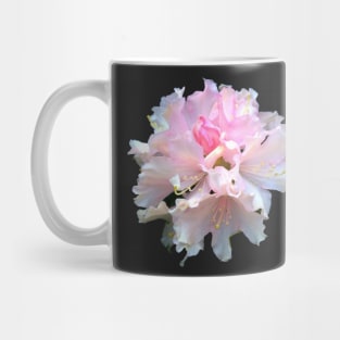 hydrangea. Mug